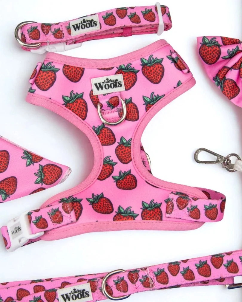 Strawberry Bliss Adjustable Harness