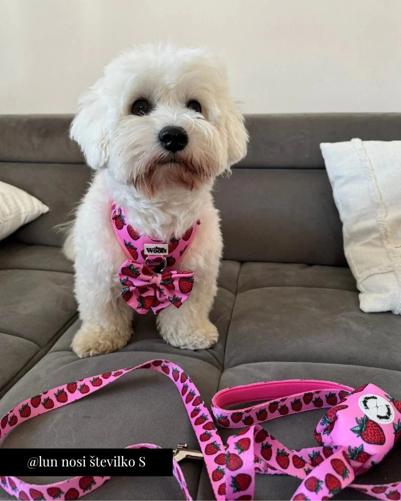 Strawberry Bliss Adjustable Harness