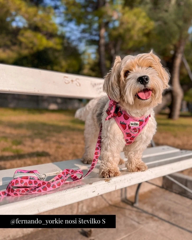 Strawberry Bliss Adjustable Harness