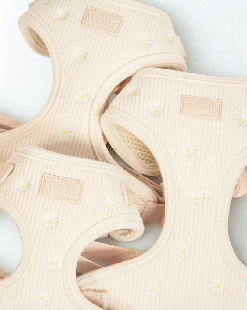 Sunny Bloom Adjustable Harness