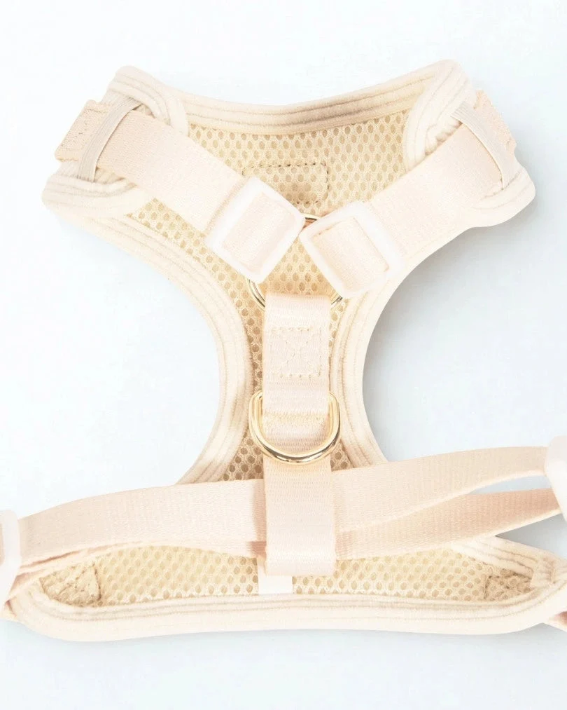 Sunny Bloom Adjustable Harness