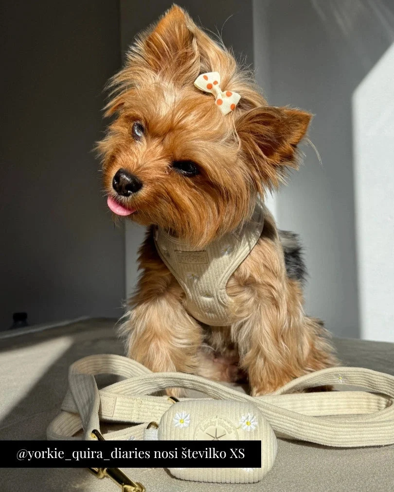 Sunny Bloom Adjustable Harness