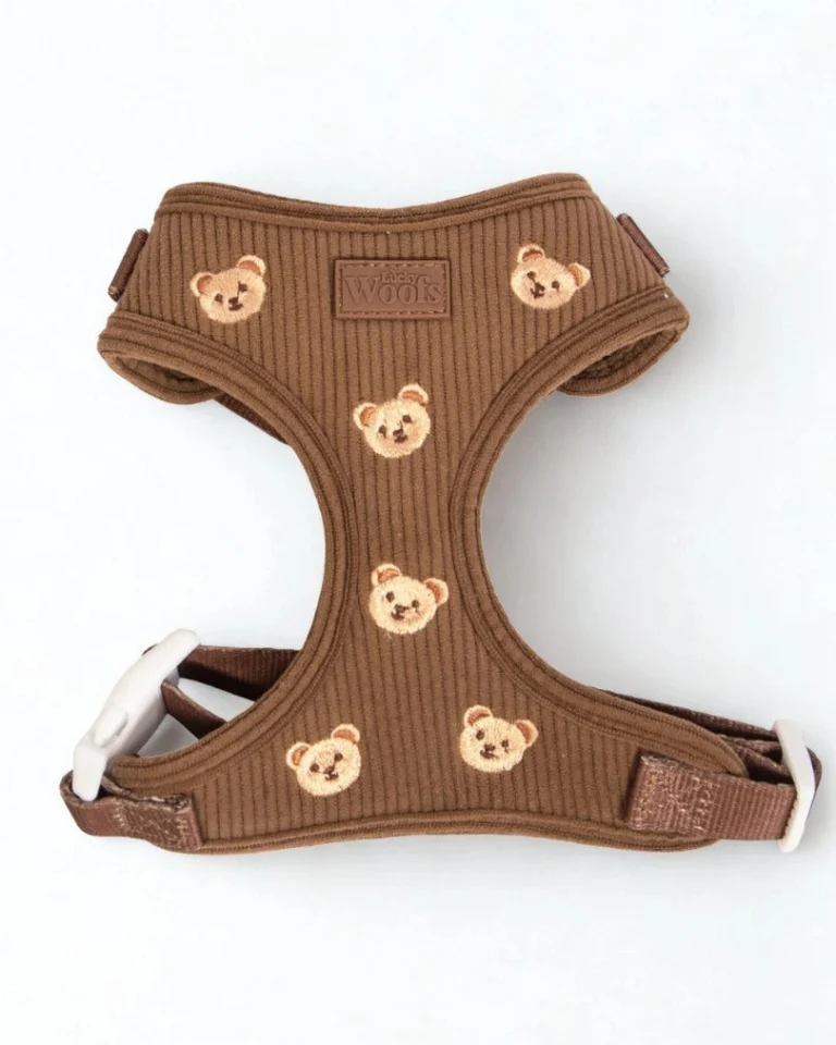 Teddy Bear Adjustable Harness
