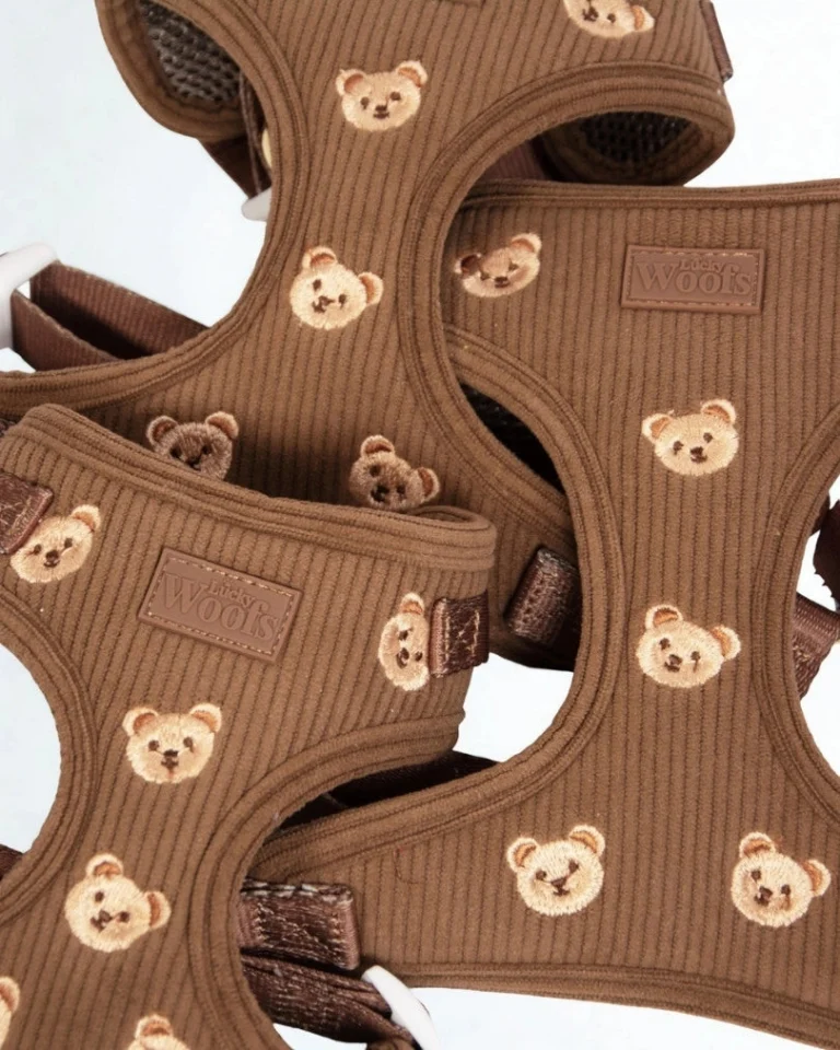Teddy Bear Adjustable Harness