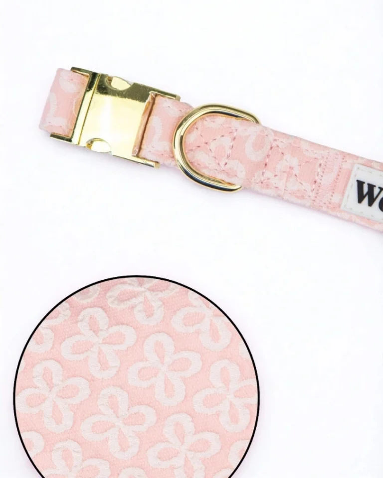 Blush Blossom Premium Adjustable Collar