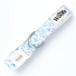 Bright Charm Adjustable Collar