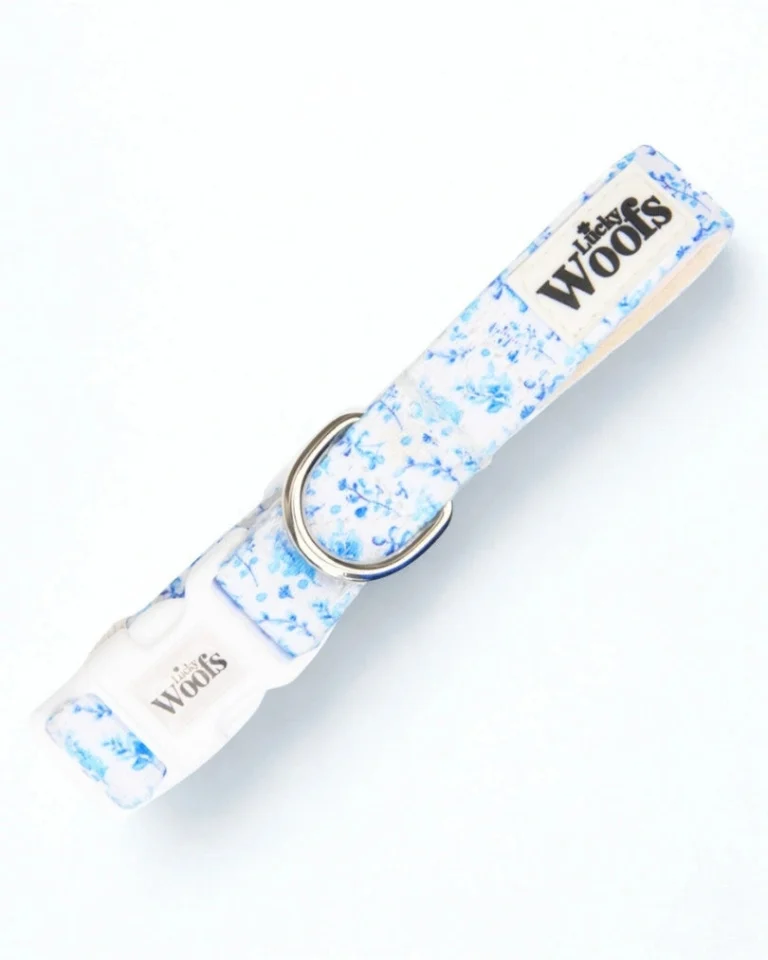 Bright Charm Adjustable Collar