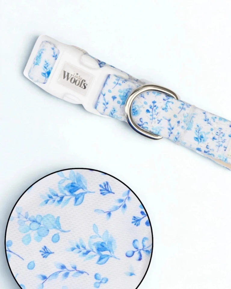 Bright Charm Adjustable Collar