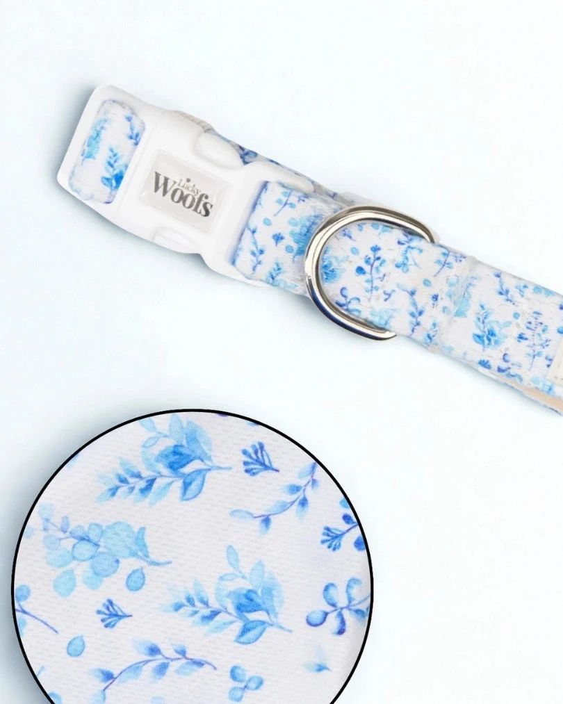 Bright Charm Adjustable Collar