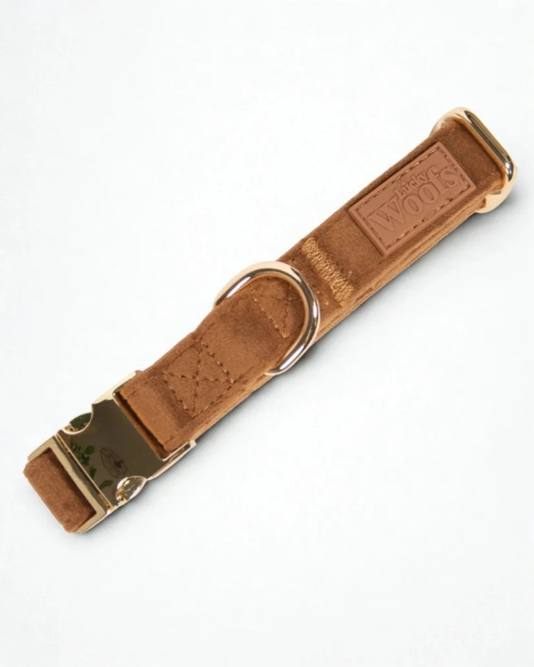Caramel Adjustable Collar