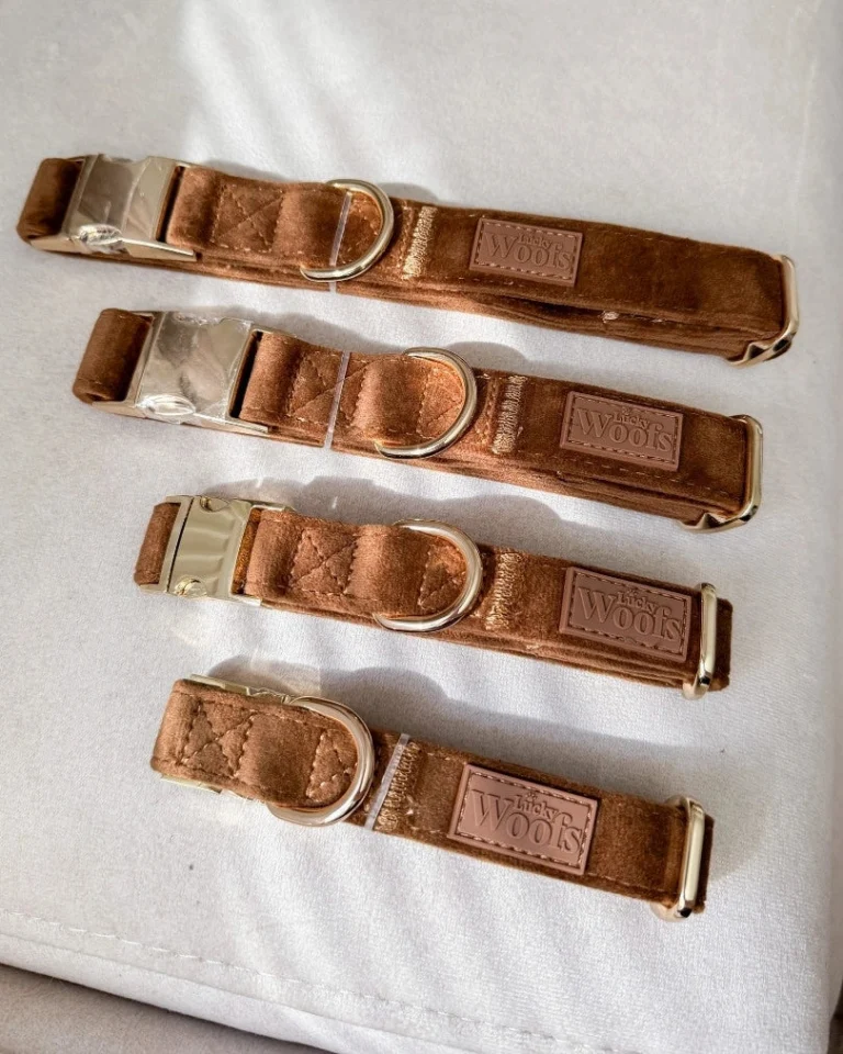 Caramel Adjustable Collar