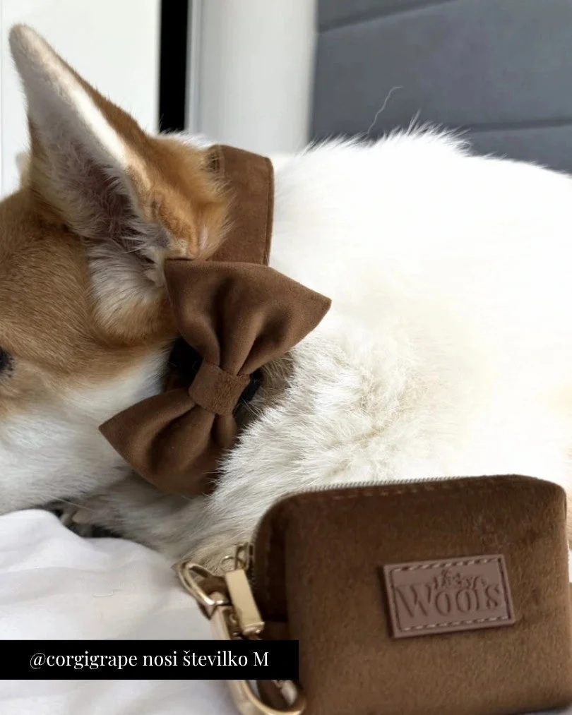 Caramel Adjustable Collar
