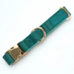 Emerald Adjustable Collar