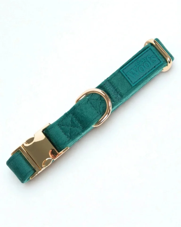Emerald Adjustable Collar