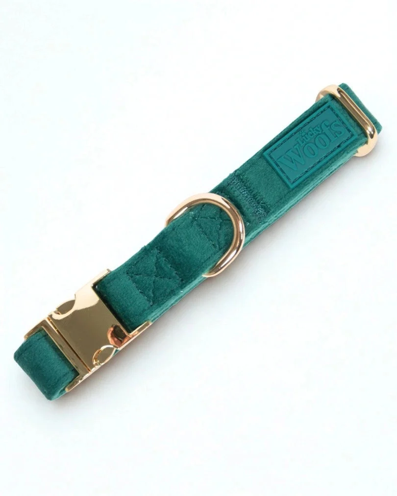 Emerald Adjustable Collar