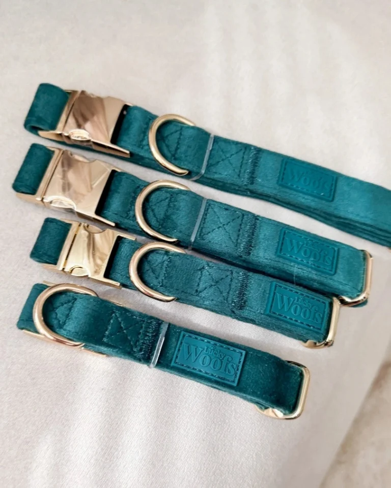 Emerald Adjustable Collar