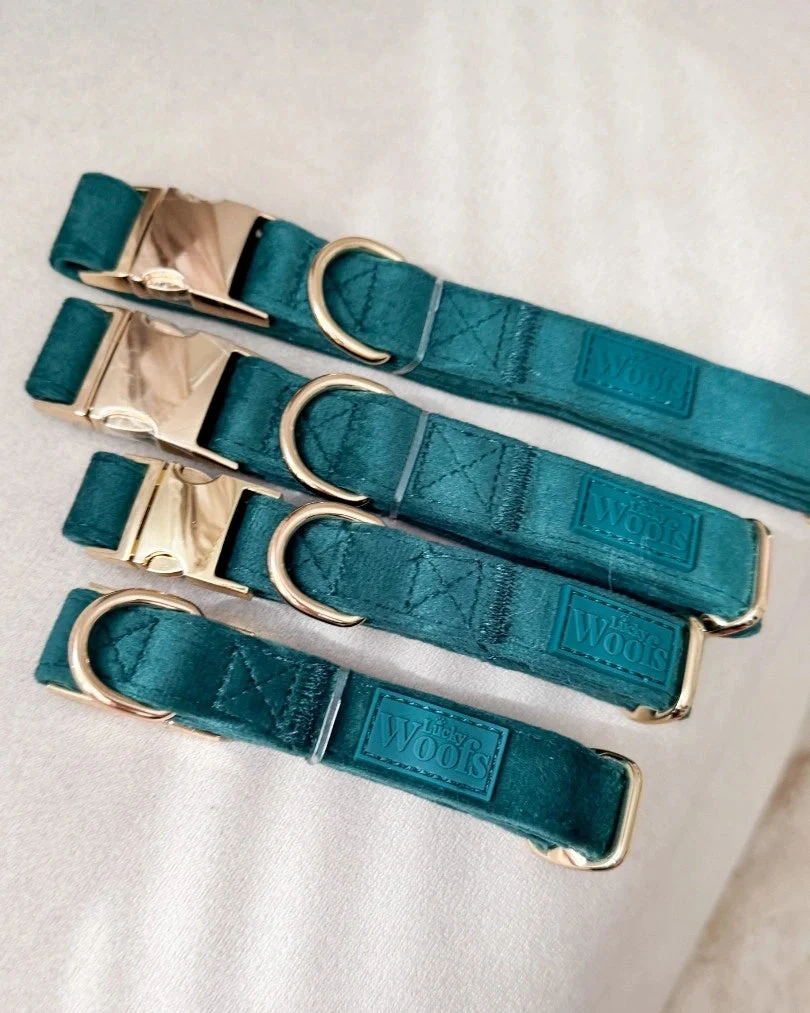 Emerald Adjustable Collar