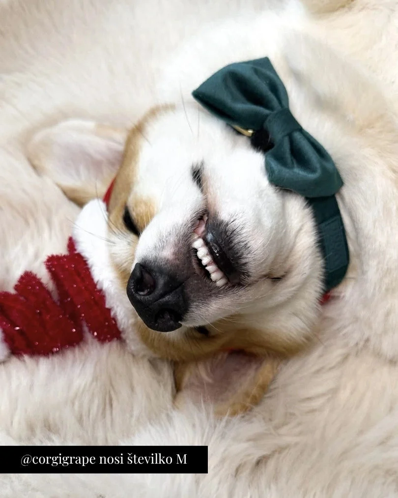 Emerald Adjustable Collar