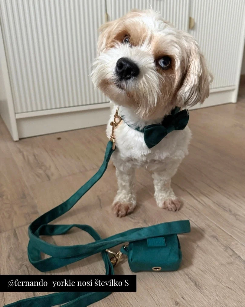 Emerald Adjustable Collar