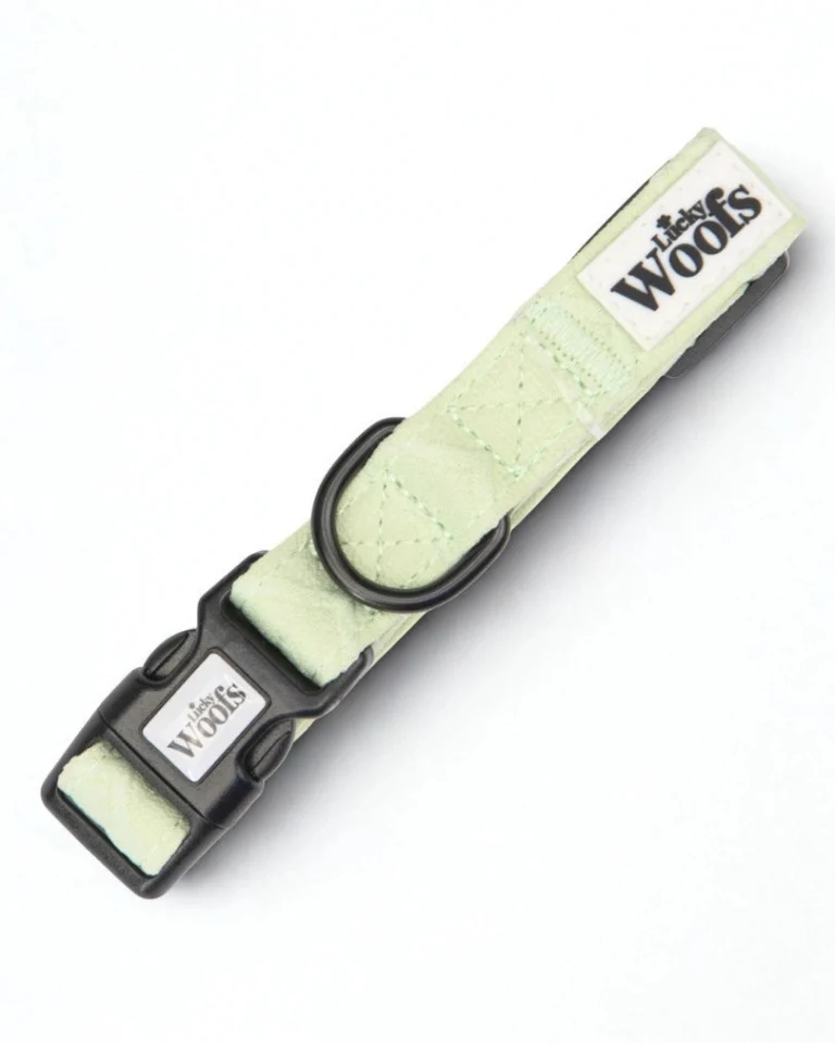 Enchanting Hearts Deluxe Adjustable Collar