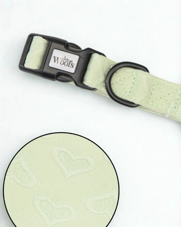 Enchanting Hearts Deluxe Adjustable Collar