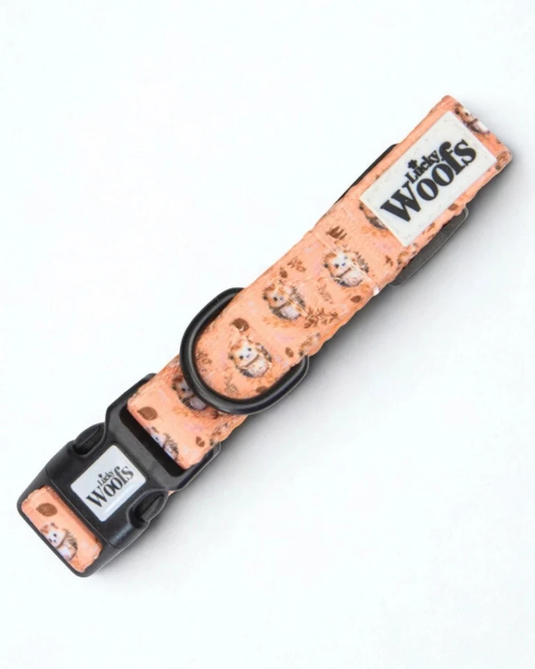 Hedgehog Hug Adjustable Collar