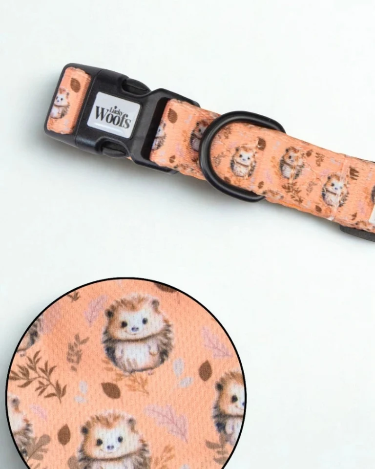 Hedgehog Hug Adjustable Collar