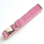 Rosé Adjustable Collar