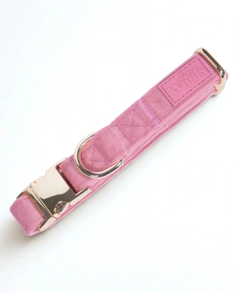 Rosé Adjustable Collar
