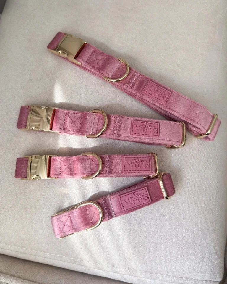 Rosé Adjustable Collar