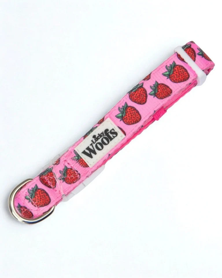 Strawberry Bliss Adjustable Collar