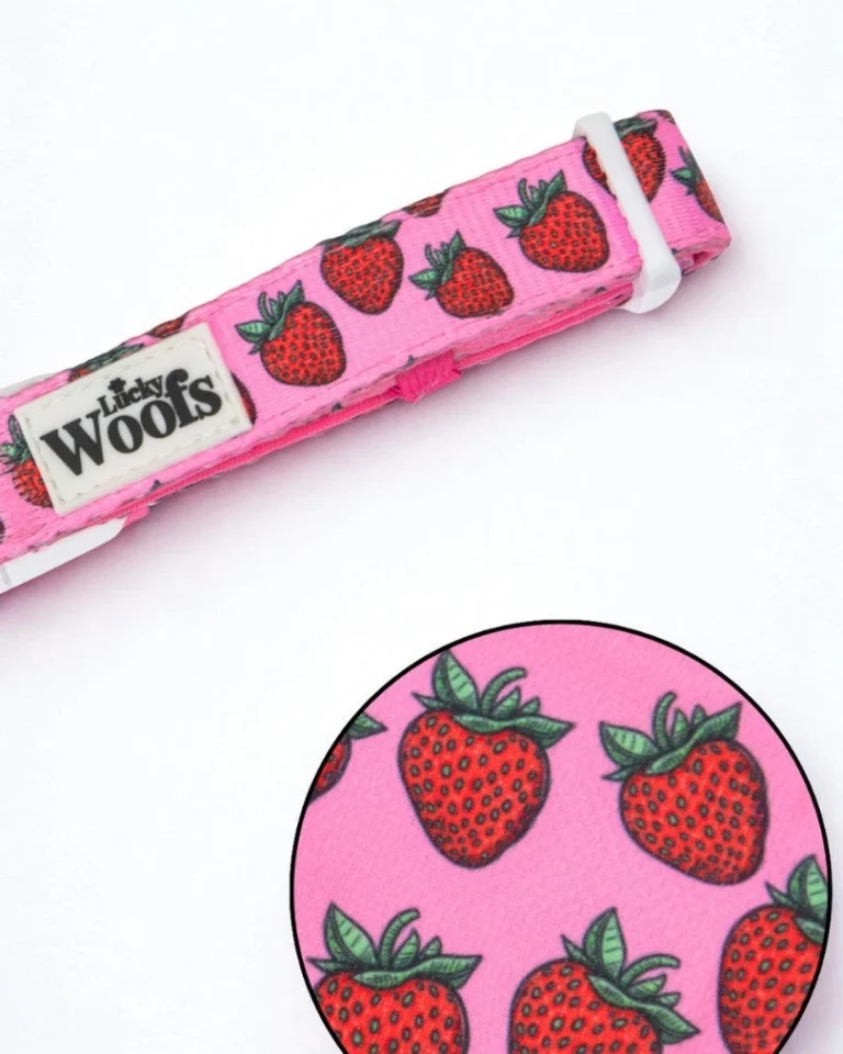 Strawberry Bliss Adjustable Collar