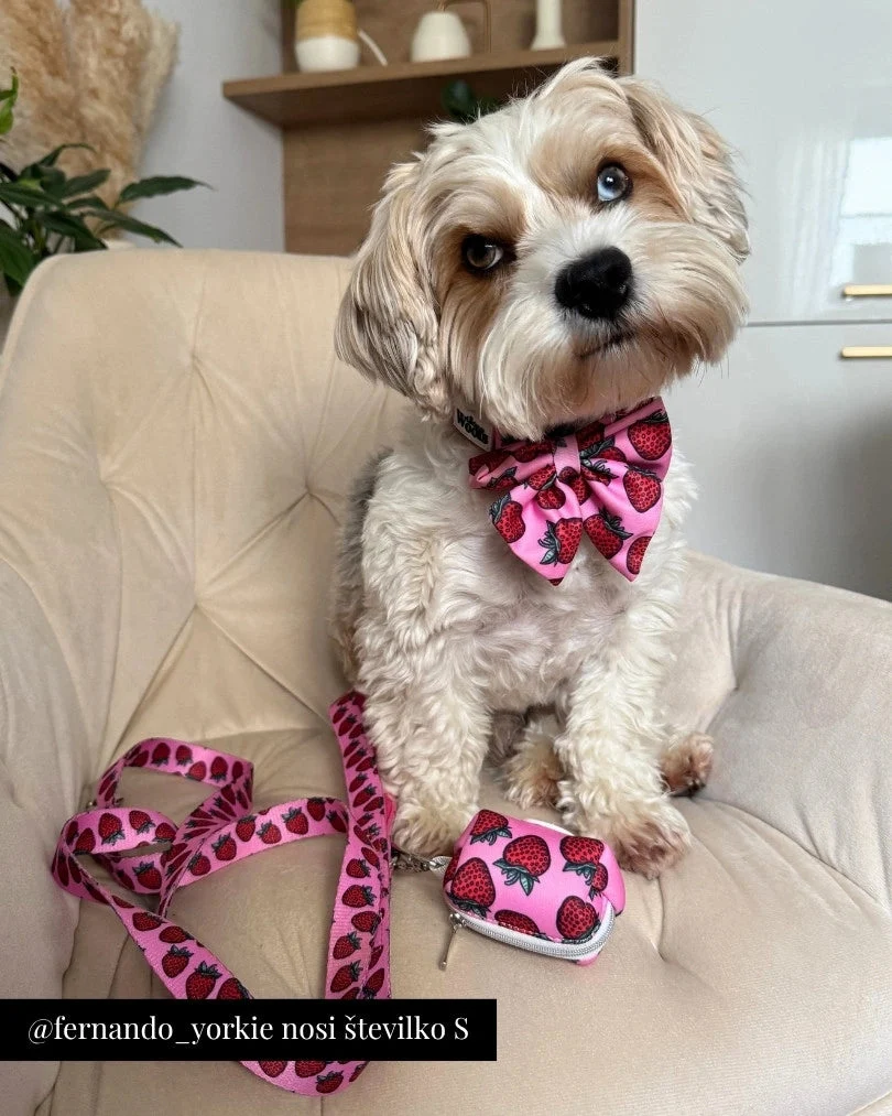 Strawberry Bliss Adjustable Collar