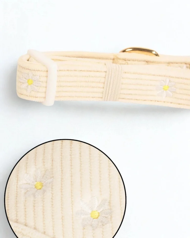 Sunny Bloom Adjustable Collar