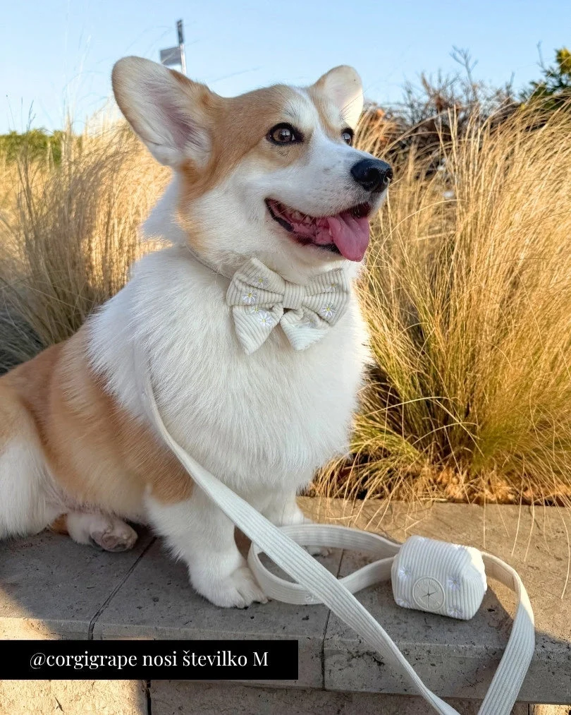 Sunny Bloom Adjustable Collar