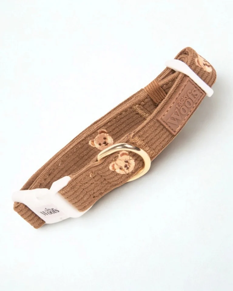Teddy Bear Adjustable Collar