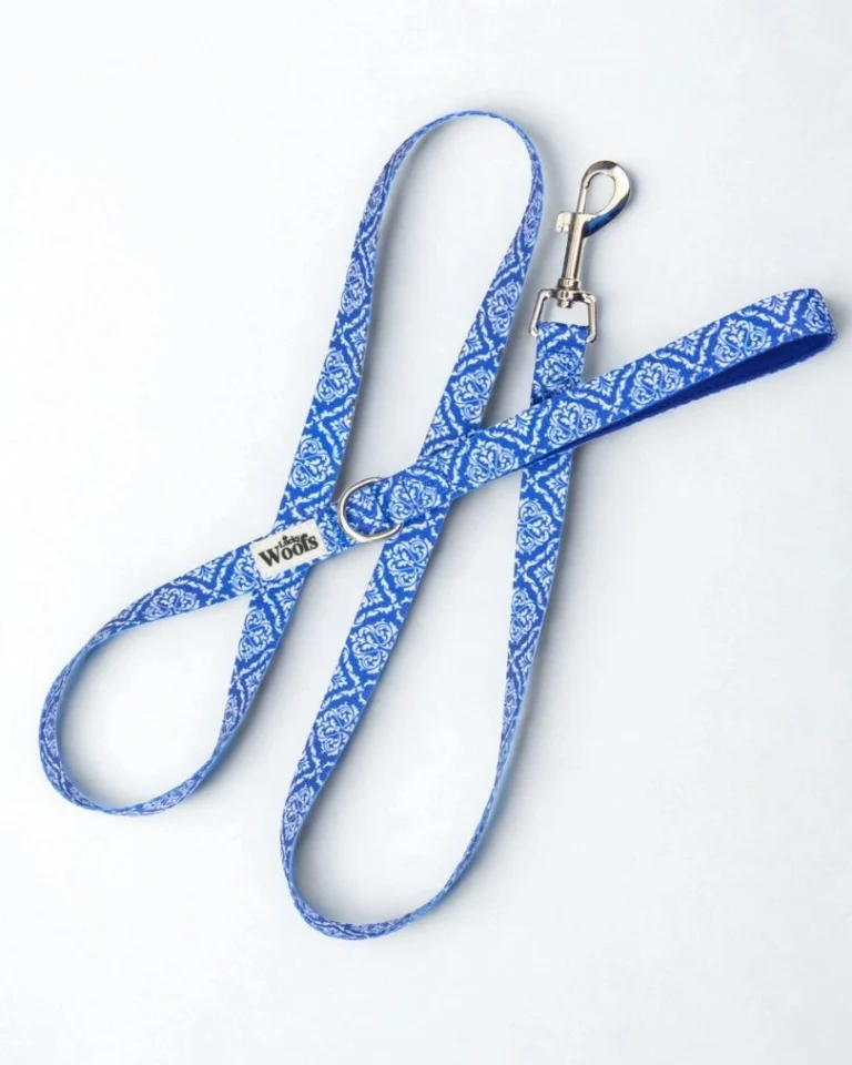 Blue Majesty Leash