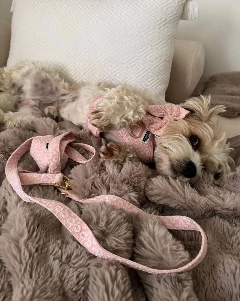 Blush Blossom Premium Leash