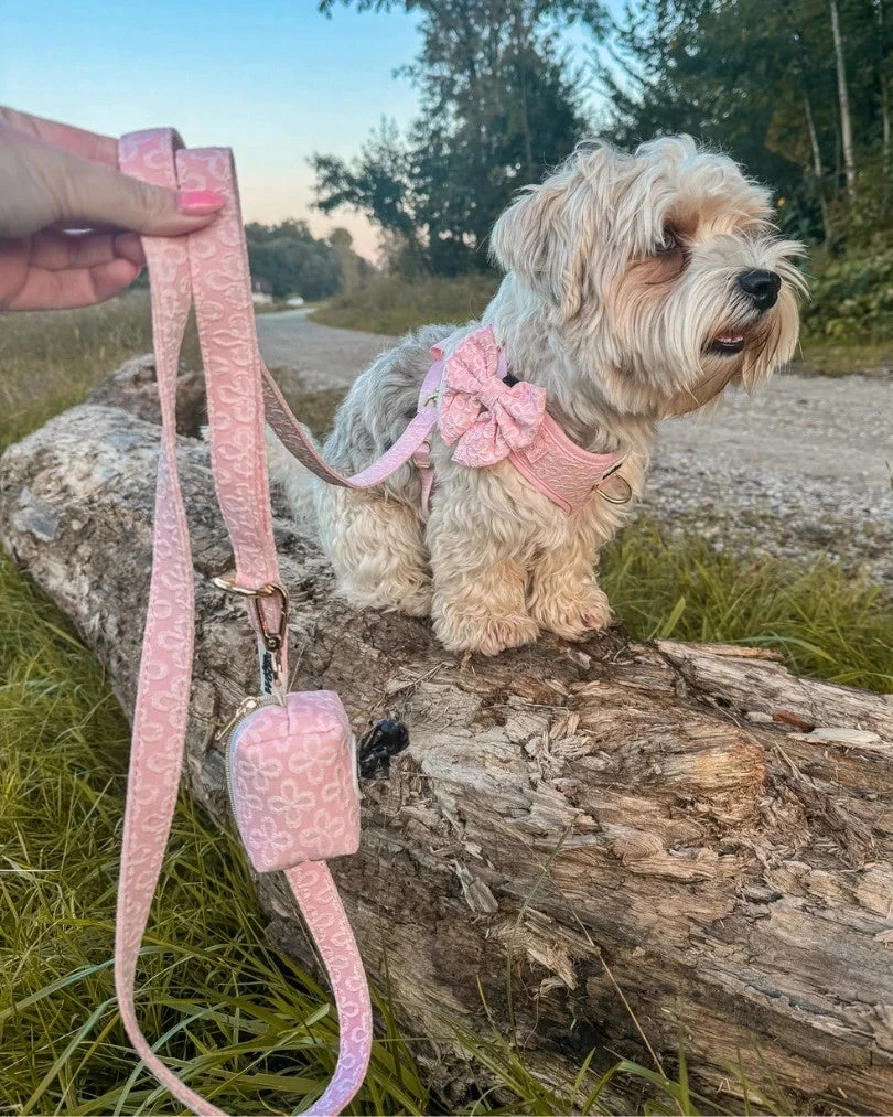 Blush Blossom Premium Leash