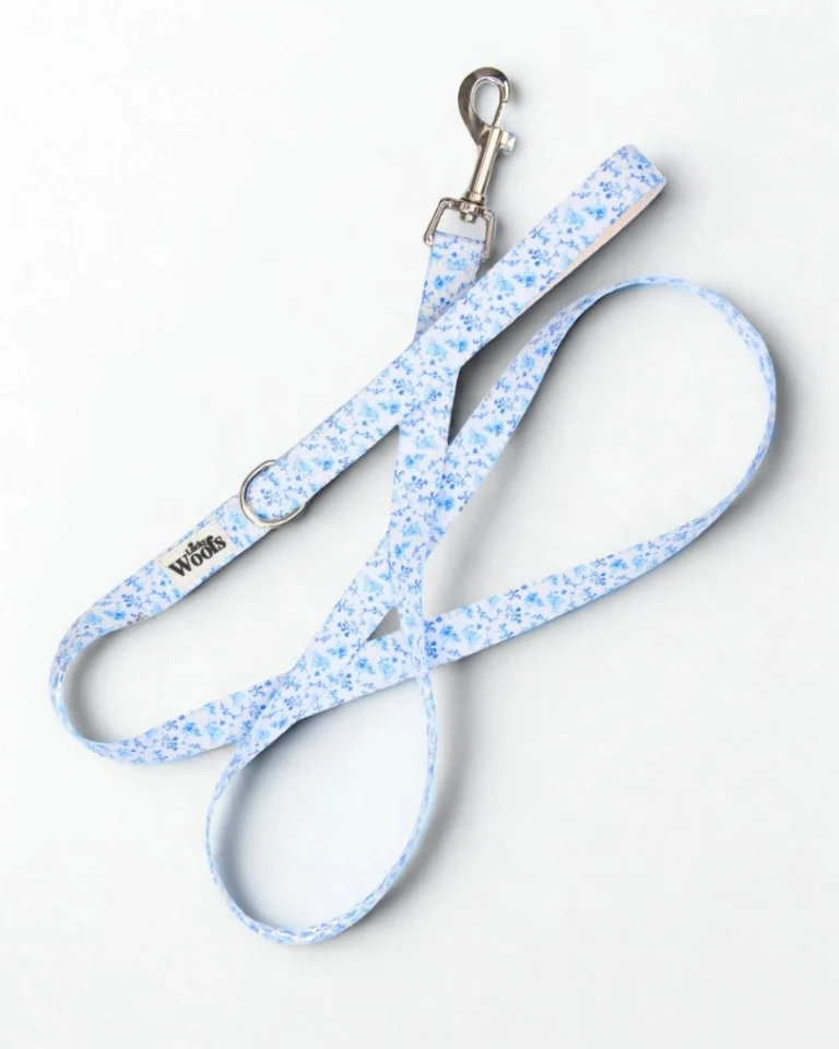 Bright Charm Leash