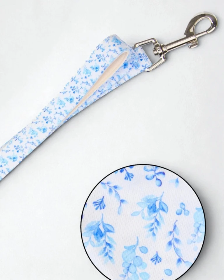 Bright Charm Leash