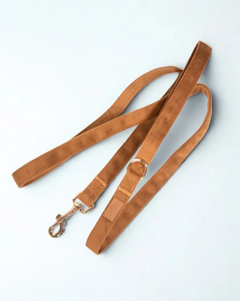 Caramel Leash