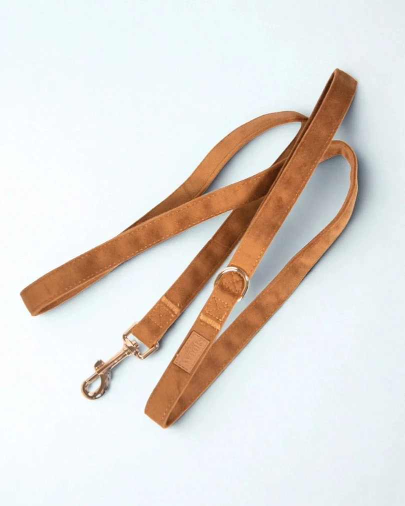 Caramel Leash