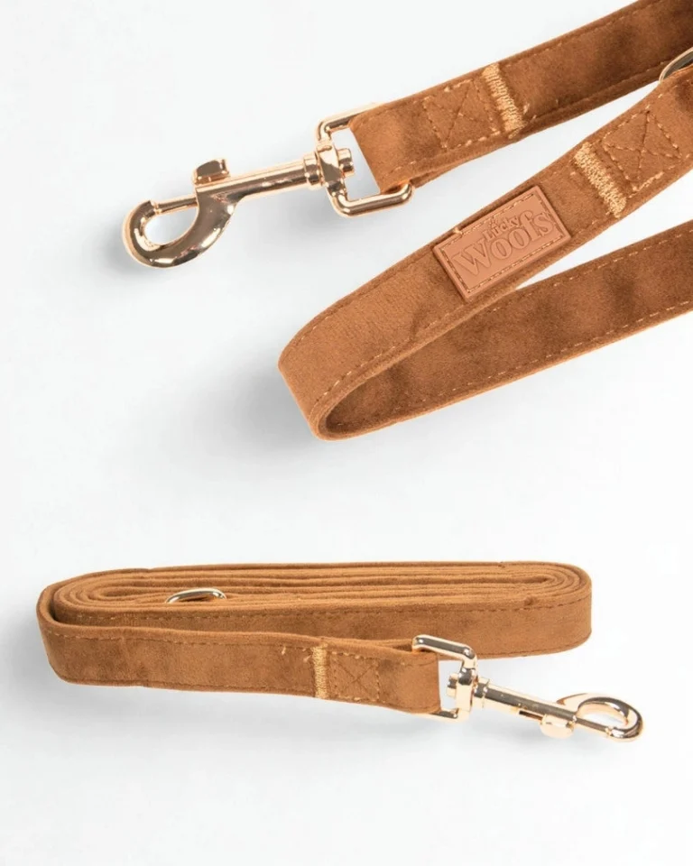 Caramel Leash