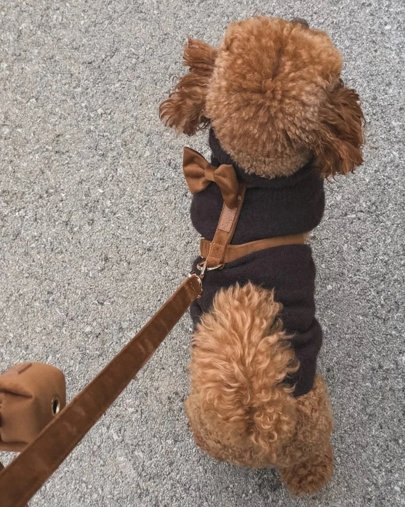 Caramel Leash