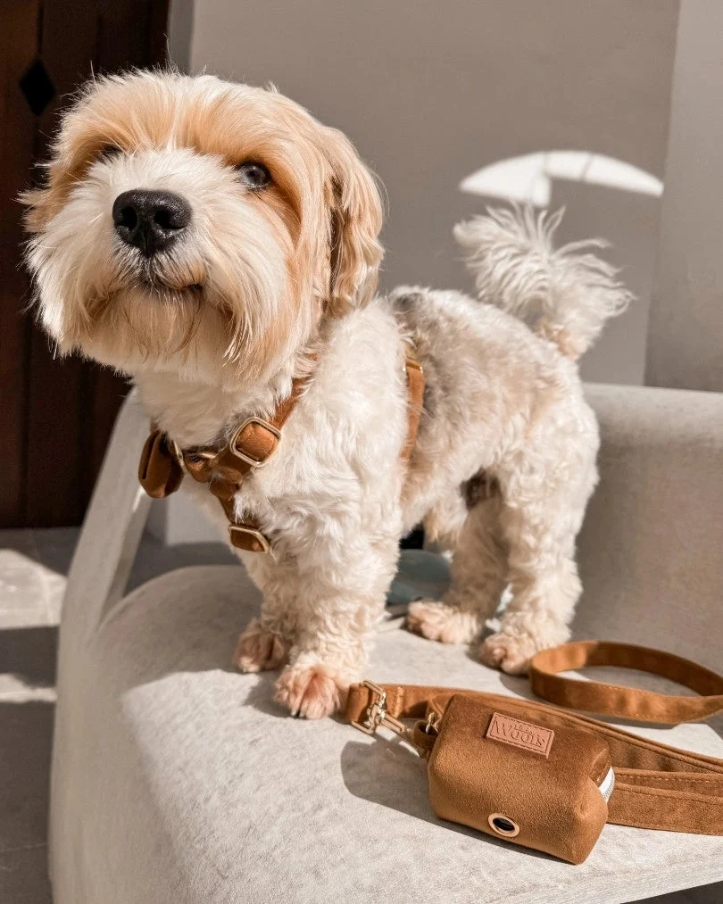 Caramel Leash