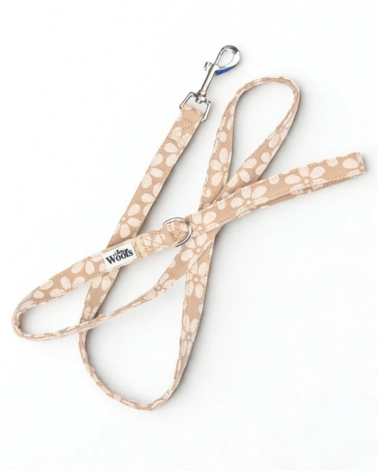 Cocoa Bloom Deluxe Leash
