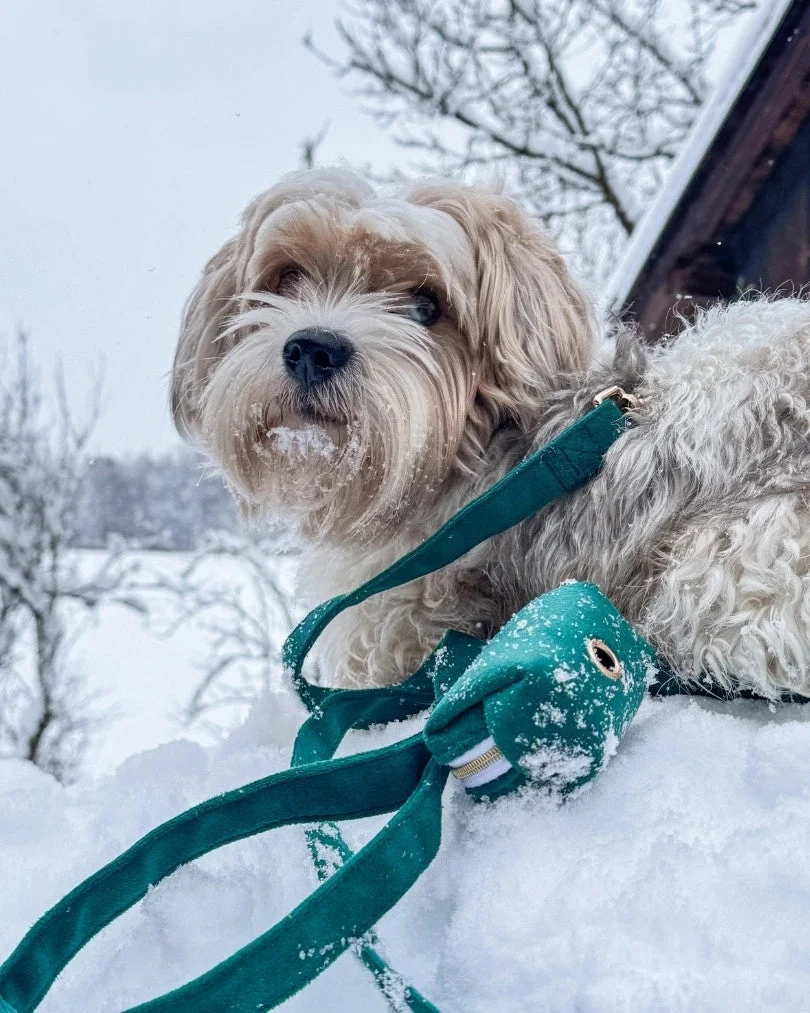 Emerald Leash
