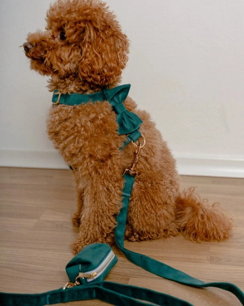 Emerald Leash