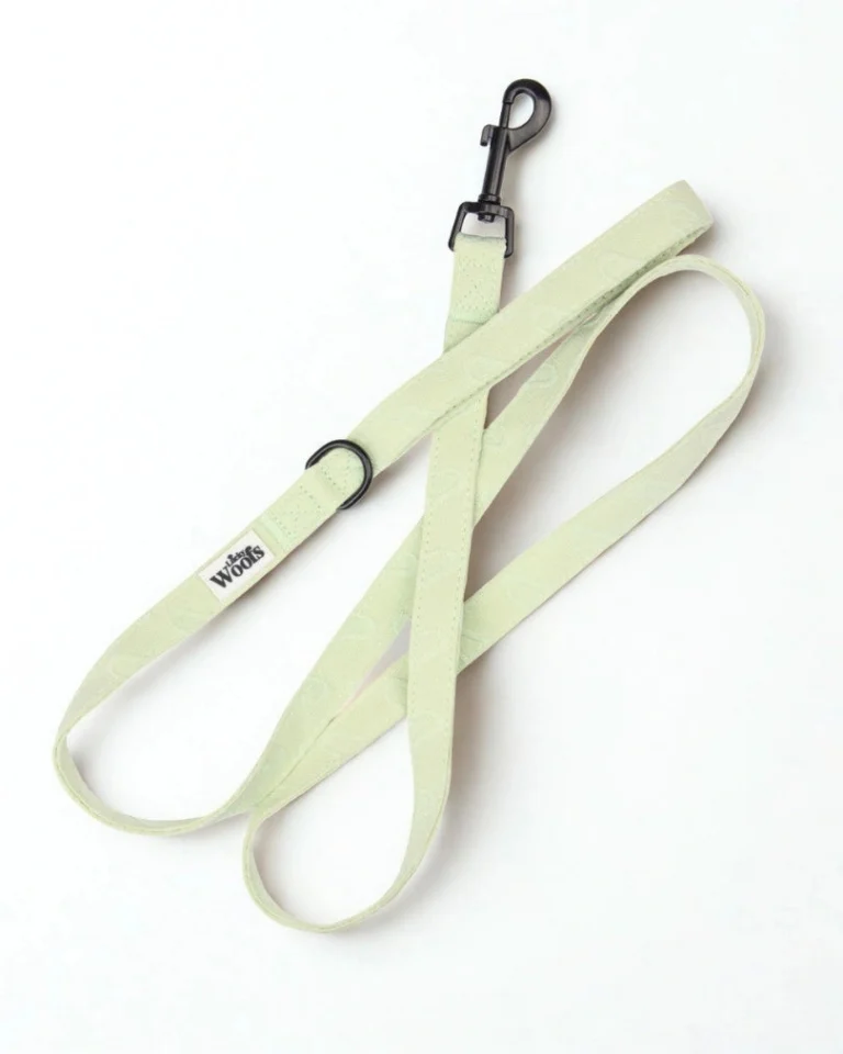 Enchanting Hearts Deluxe Leash